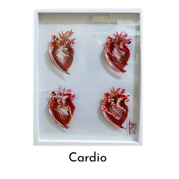 Cardiologia