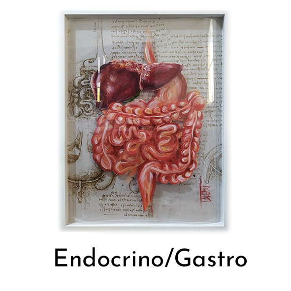 Endocrino/Gastro