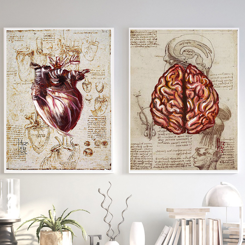 Quadros decorativo anatomia: Coração e Cérebro Leonardo da Vinci