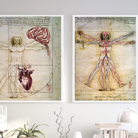 Quadros pôster anatomia Coração e Cérebro Leonardo da Vinci