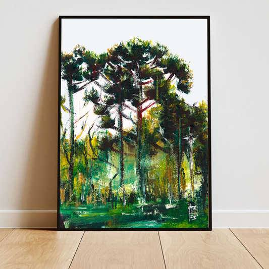 Quadro pôster Floresta de Araucárias