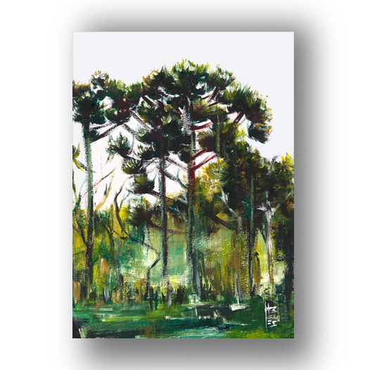 Quadro pôster Floresta de Araucárias