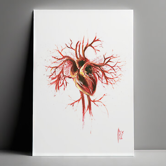 Quadro pôster anatomia: Coração com arterias e veias