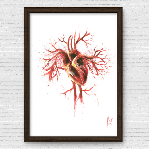 Quadro pôster anatomia: Coração com arterias e veias