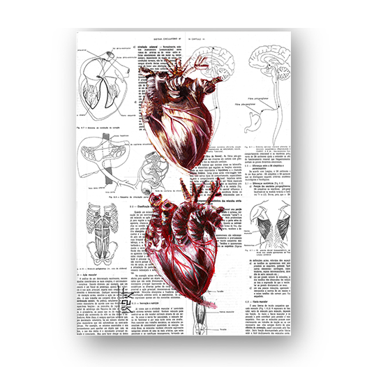 Quadro pôster anatomia dois coração página de livro ao fundo