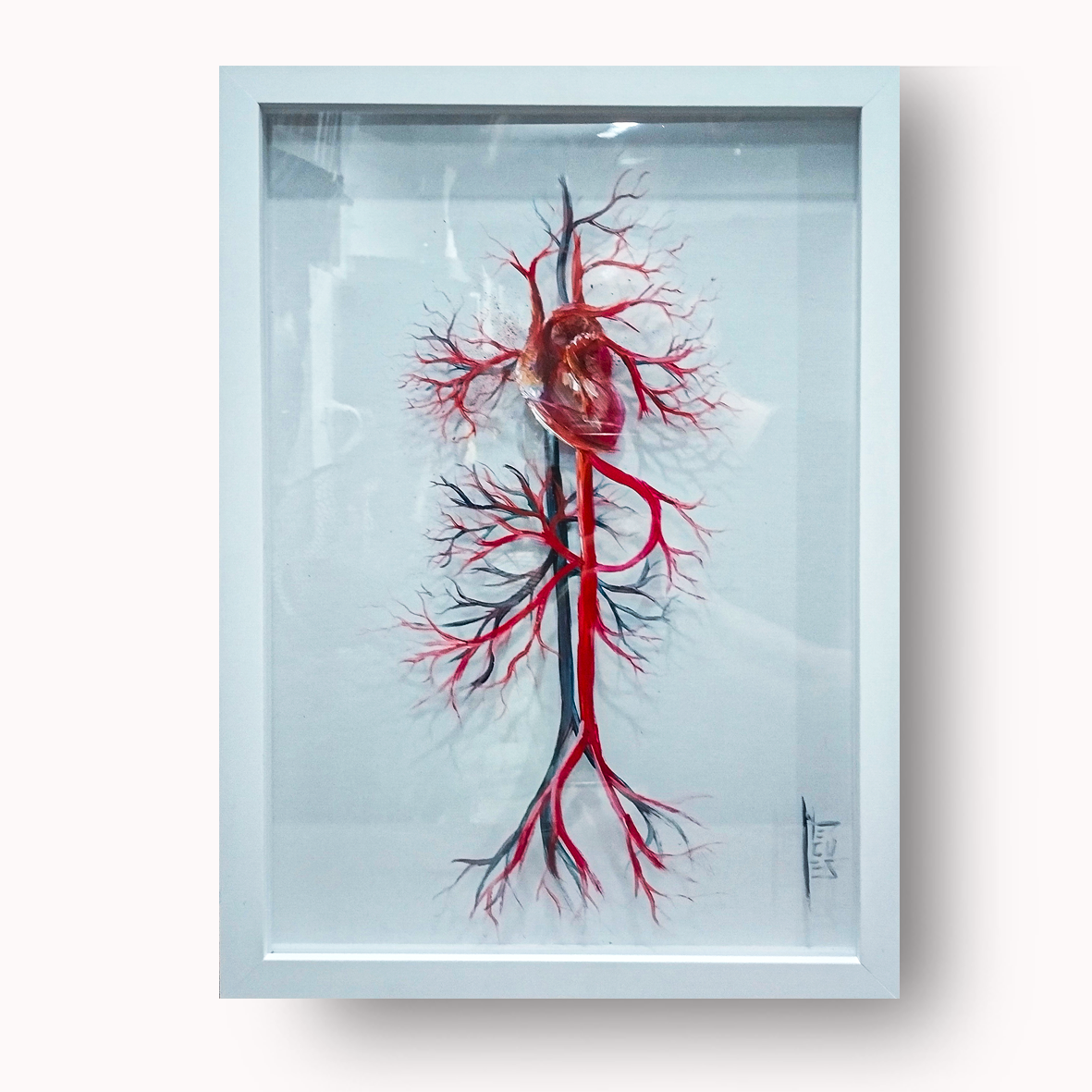 Quadro Decorativo Anatomia – Sistema Vascular com Coração - cardiologia | Pintura Original™