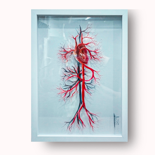 Quadro Anatomia: Pintura original Sistema vascular com coração