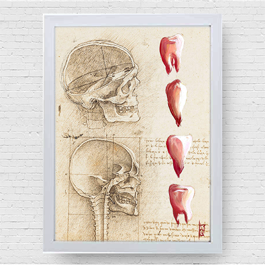 Quadro pôster anatomia Odonto Coleção Leonardo Da Vinci: Canino, Incisivo, Pré-molar e Molar