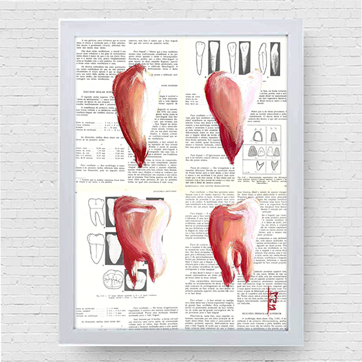 Quadro pôster anatomia Odonto: Canino, Incisivo, Pré-molar e Molar