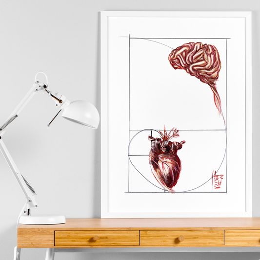 Quadro pôster anatomia: Emoção e Razão sequência de Fibonacci