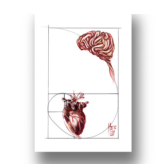 Quadro pôster anatomia: Emoção e Razão sequência de Fibonacci