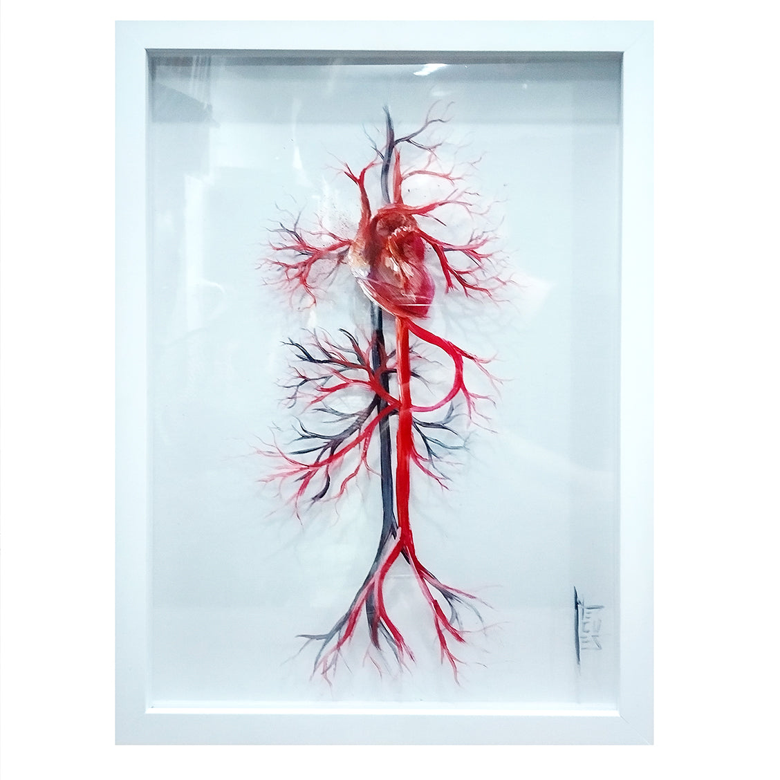 Cadre décoratif Anatomie – Système vasculaire avec cœur – cardiologie | Peinture Originale™