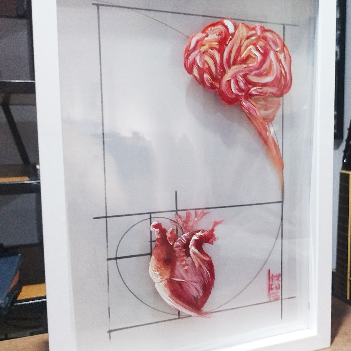 Quadro decorativa Anatomia: Pintura original  Emoção e Razão sequência de Fibonacci (cópia)