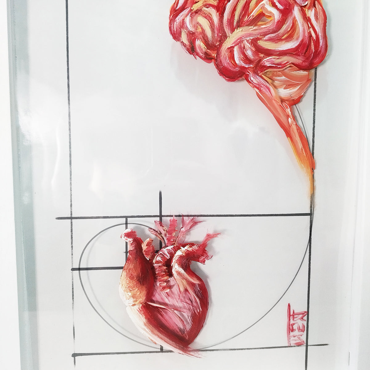 Quadro decorativa Anatomia: Pintura original  Emoção e Razão sequência de Fibonacci (cópia)