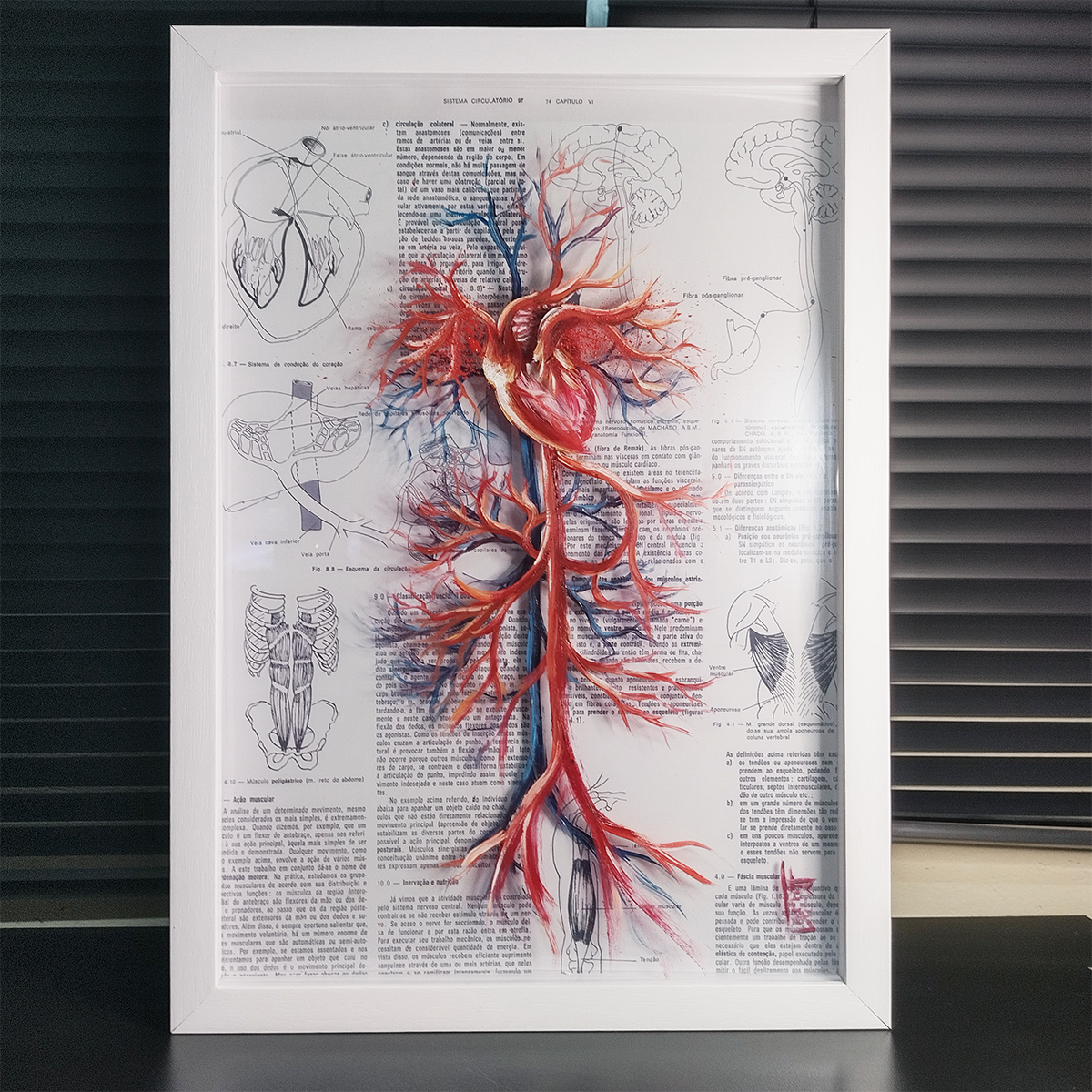 Quadro Anatomia: Pintura original Sistema vascular com coração fundo livro