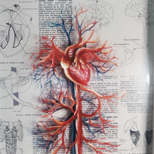 Quadro Anatomia: Pintura original Sistema vascular com coração fundo livro