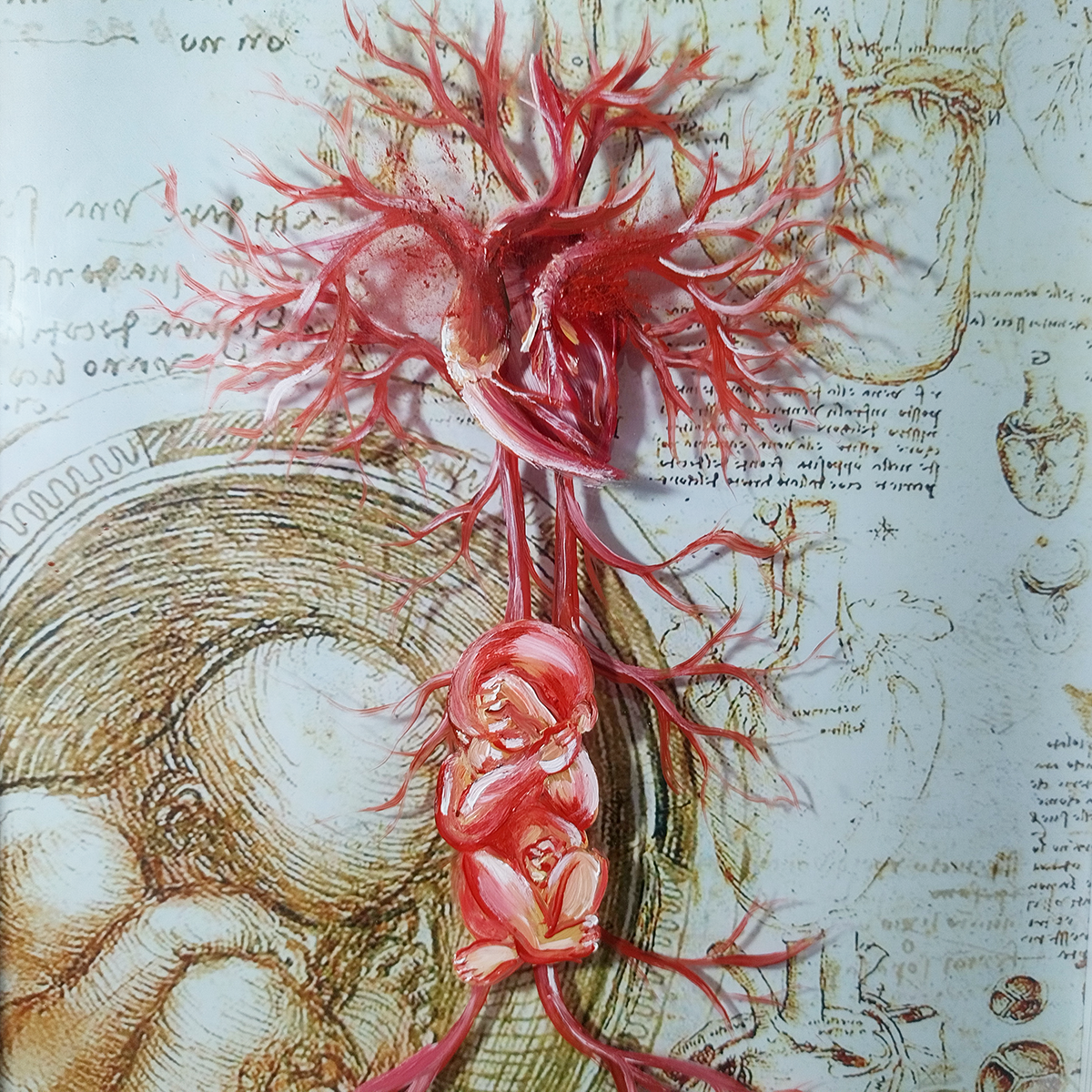 Anatomie Peinture : Peinture Originale Obstétricien Collection Leonardo Da Vinci 