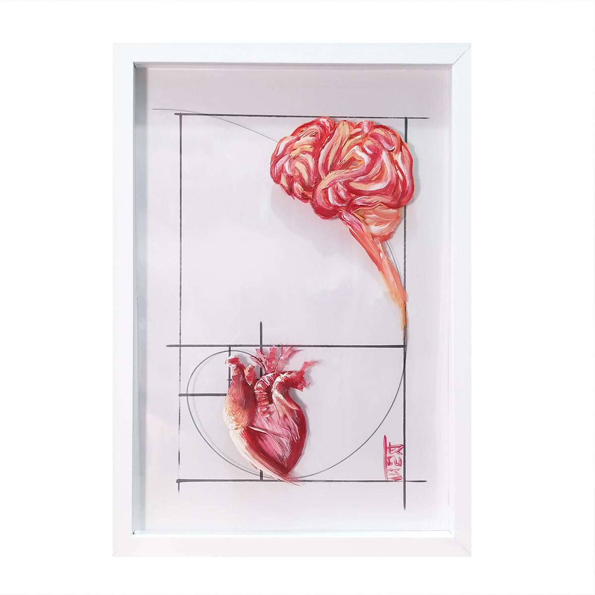 Quadro decorativa Anatomia: Pintura original  Emoção e Razão sequência de Fibonacci (cópia)