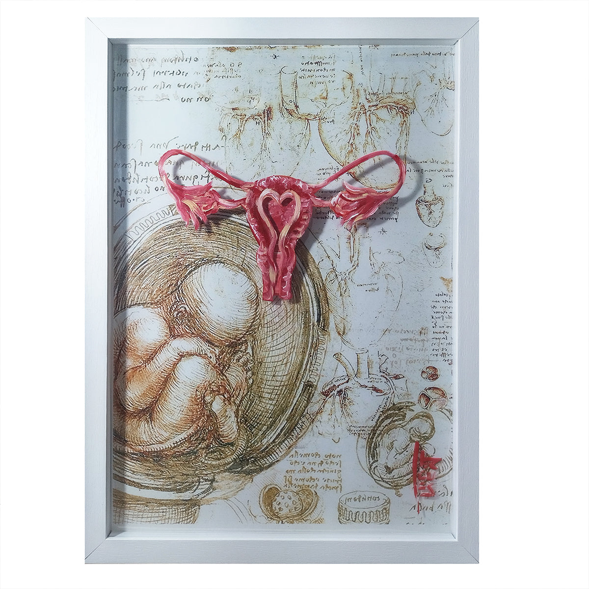 Quadro decorativo Anatomia: Pintura original-ginecologia  Útero coleção Da Vinci