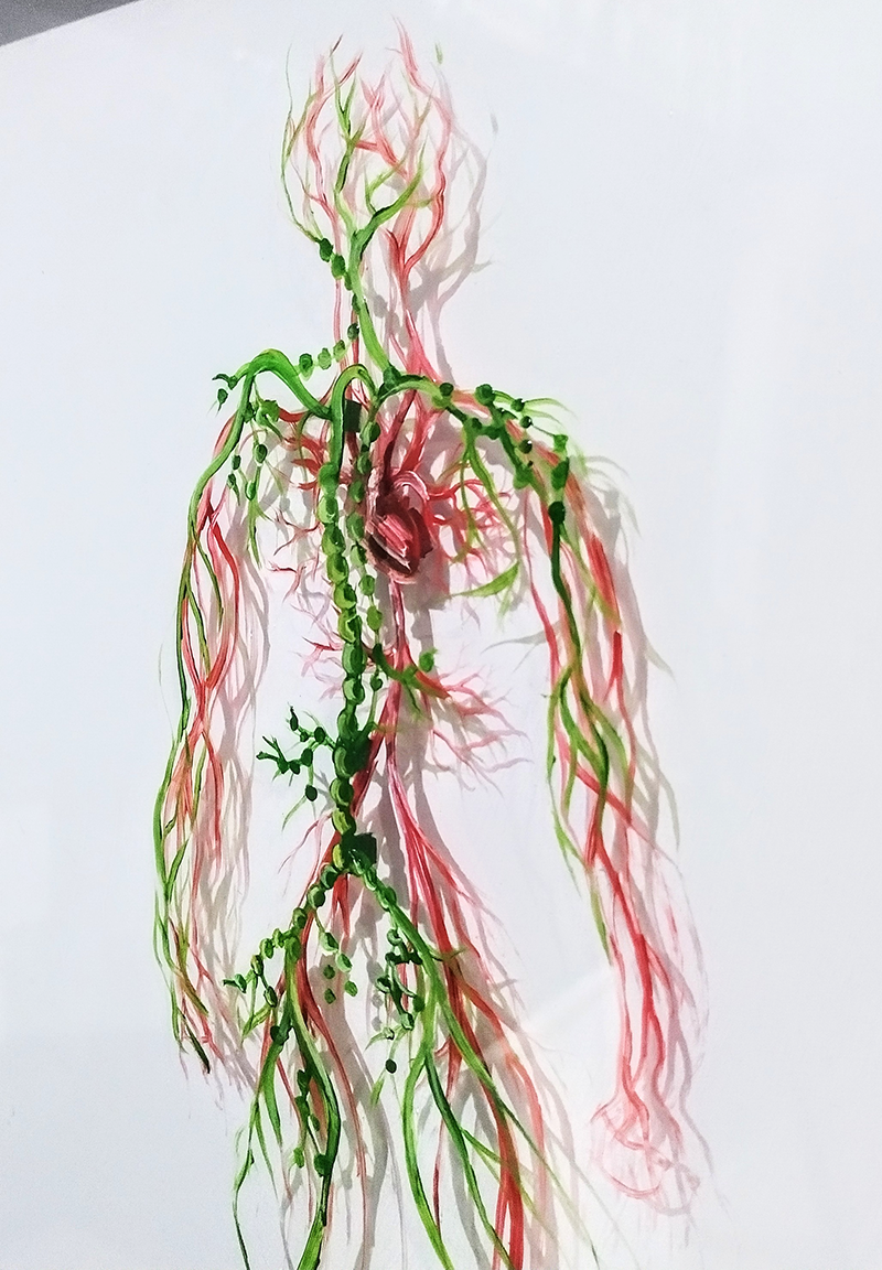 Pintura Anatomía: Sistema vascular de David de Miguel Ángel