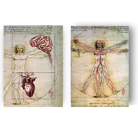 Quadros pôster anatomia Coração e Cérebro Leonardo da Vinci