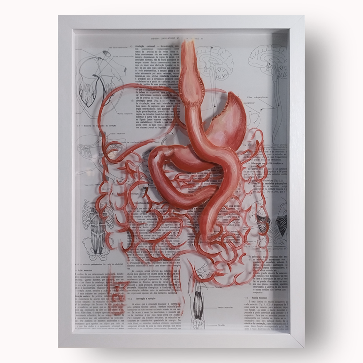 Quadro Decorativo Anatomia – Bariátrica-Estômago e Bypass Gástrico | Pintura Original™