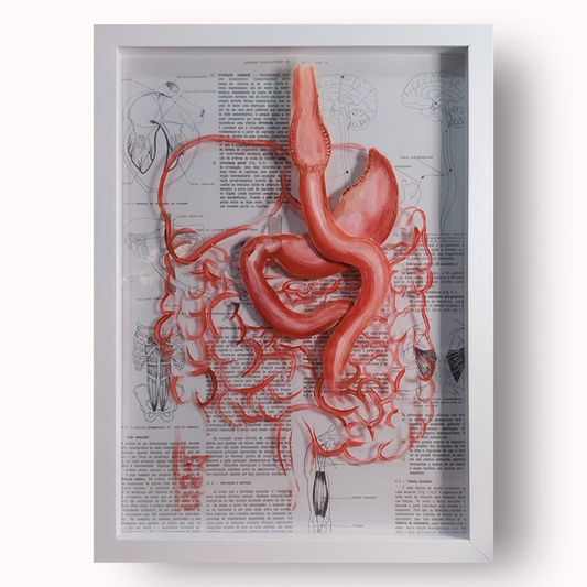 Quadro Anatomia: Pintura original Estomago Bypass gástrico