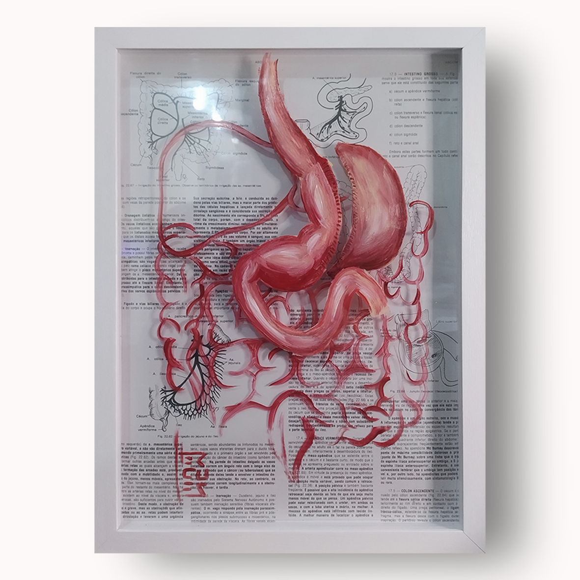 Quadro Anatomia: Pintura original Estomago sleeve gástrico