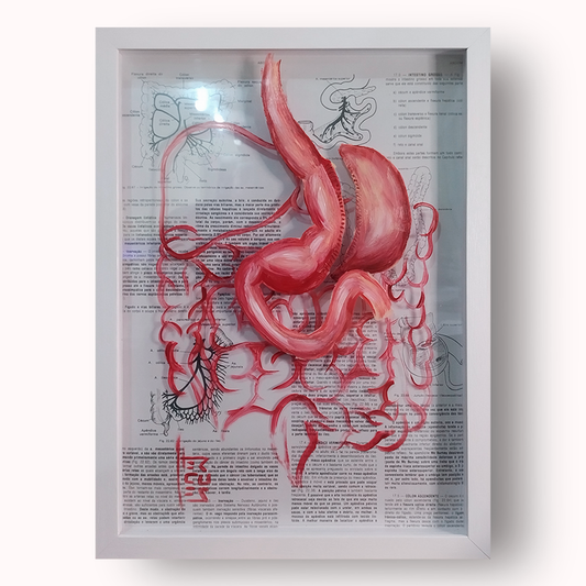 Quadro Anatomia: Pintura original Estomago sleeve gástrico