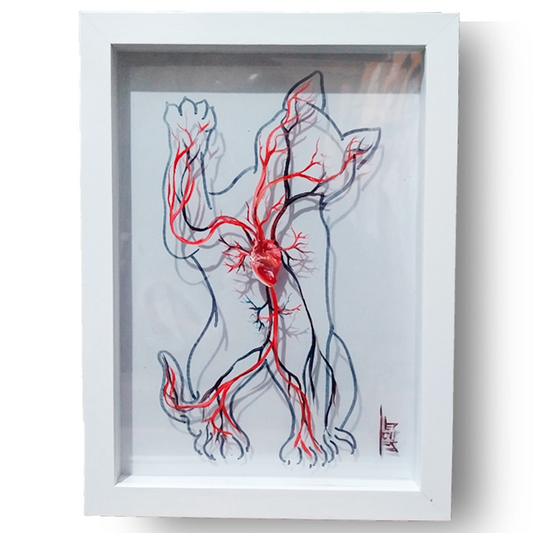 Quadro Anatomia: Pintura original  Sistema Vascular com coração Gato