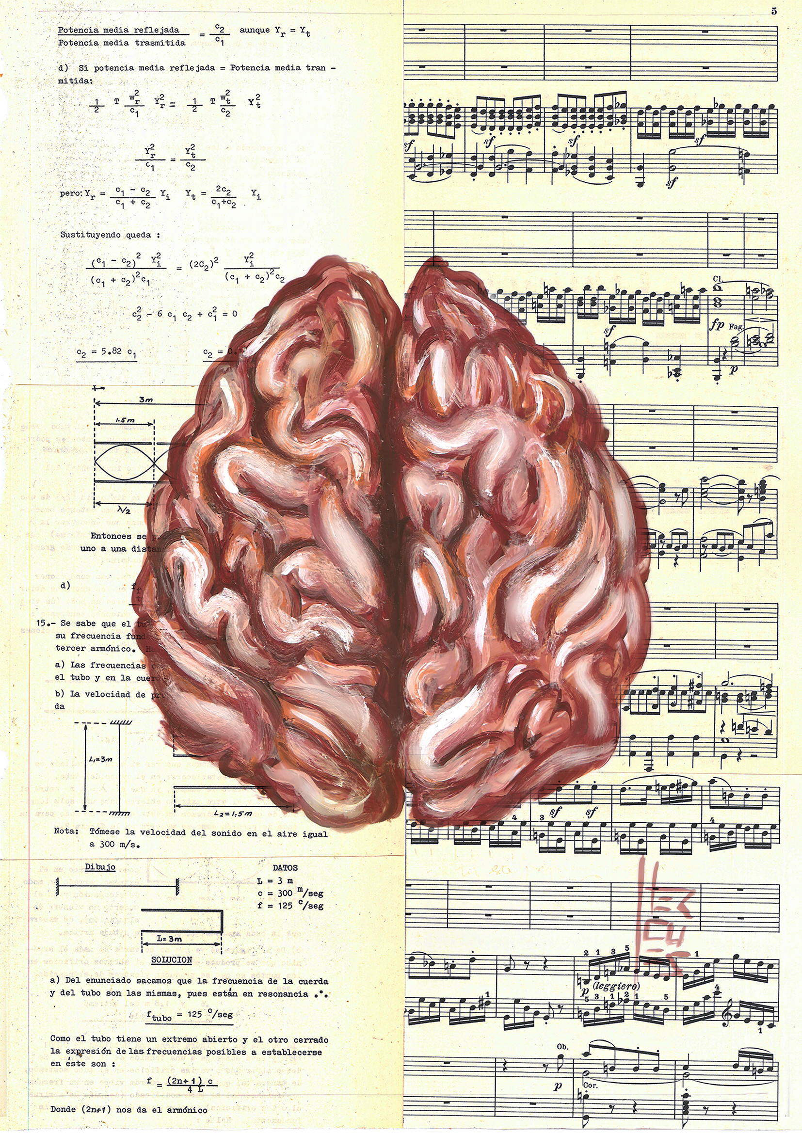 Quadro Decorativo  Pôster Anatomia Neurologia e psicologia– Cérebro e Seus Dois Hemisférios™