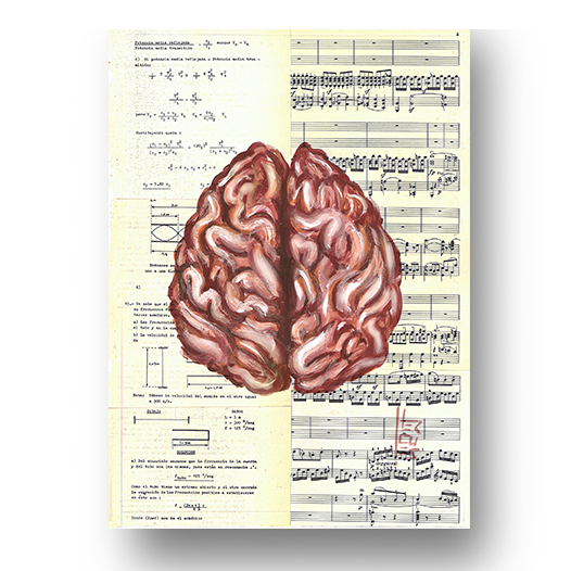 Quadro pôster anatomia cérebro dois hemisférios