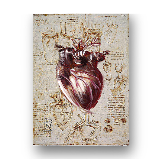 Marco cartel anatomía corazón fondo bosquejo Leonardo Da Vinci 