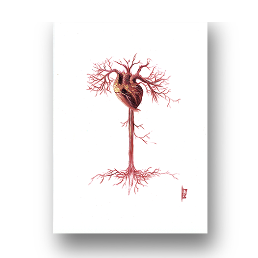 Quadro pôster anatomia artistica Coração vascular