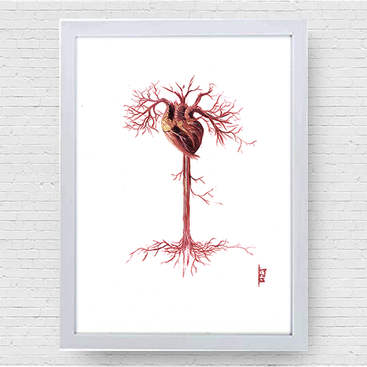 Quadro pôster anatomia artistica Coração vascular