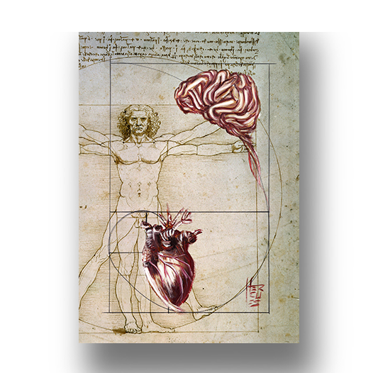 Quadro Pôster anatomia: Emoção e Razão sequência de Fibonacci coleção Leonardo Da Vinci