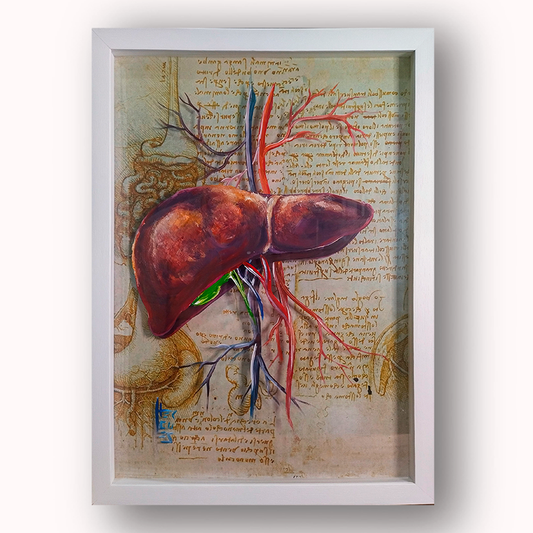 Quadro Anatomia: Pintura original Fígado Coleção Leonardo Da Vinci