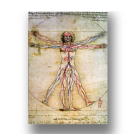 Quadro pôster anatomia Homem vitruviano com sistema circulatório Leonardo da Vinci