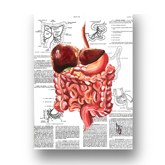 Quadro pôster anatomia: Sistema digestório Página Livro