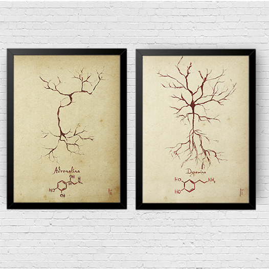 Quadro pôster anatomia neurotransmissor Adrenalina e Dopamina