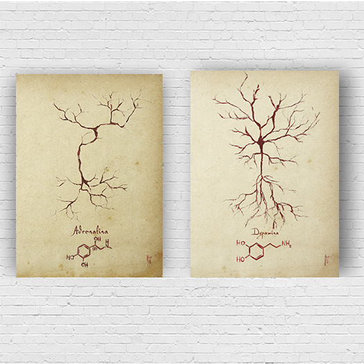 Quadro pôster anatomia neurotransmissor Adrenalina e Dopamina