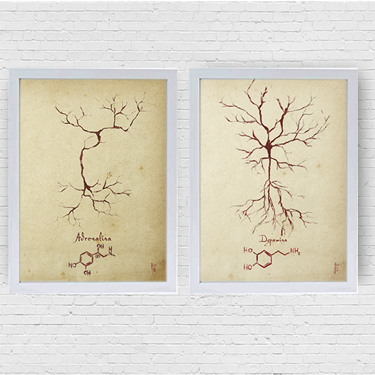 Quadro pôster anatomia neurotransmissor Adrenalina e Dopamina