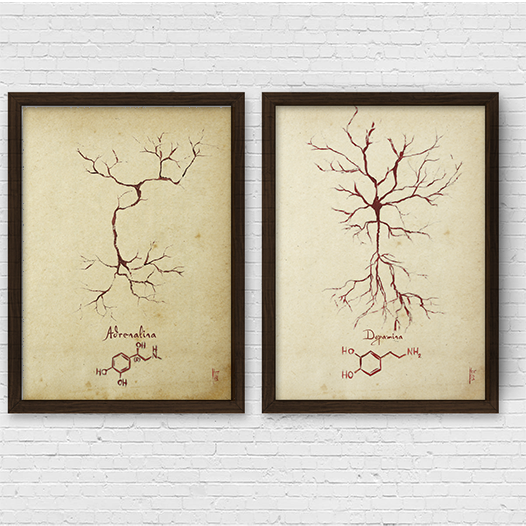 Quadro pôster anatomia neurotransmissor Adrenalina e Dopamina