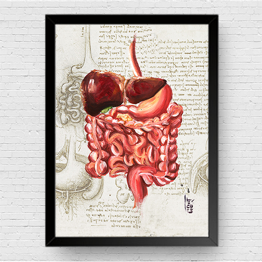 Quadro pôster anatomia: Sistema digestório coleção Leonardo Da Vinci