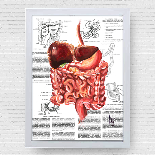 Quadro pôster anatomia: Sistema digestório Página Livro