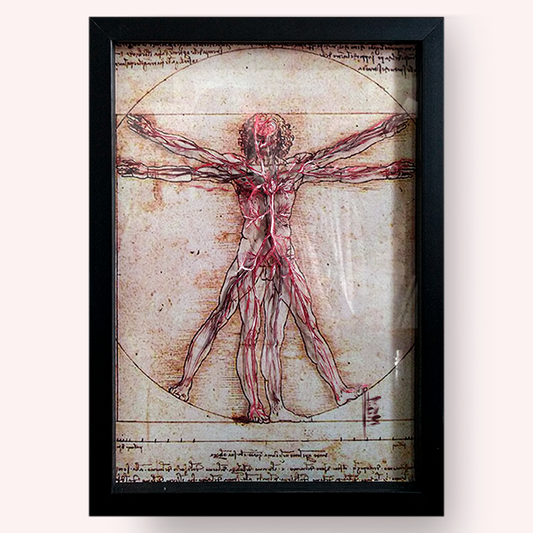 Quadro Anatomia: Pintura original Homem Vitruviano