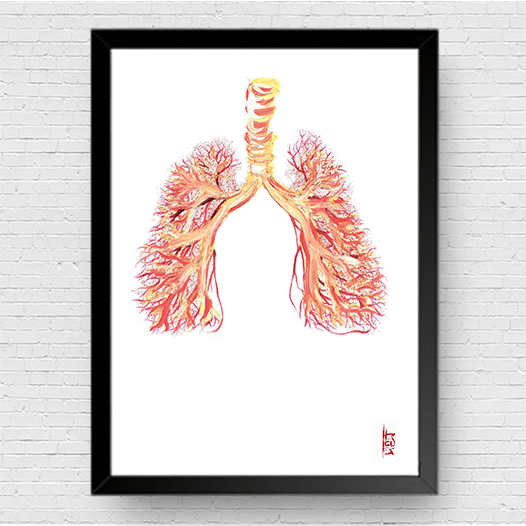 Quadro pôster anatomia: Pulmão