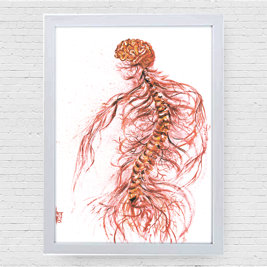 Quadro pôster anatomia: Sistema Nervoso com coluna