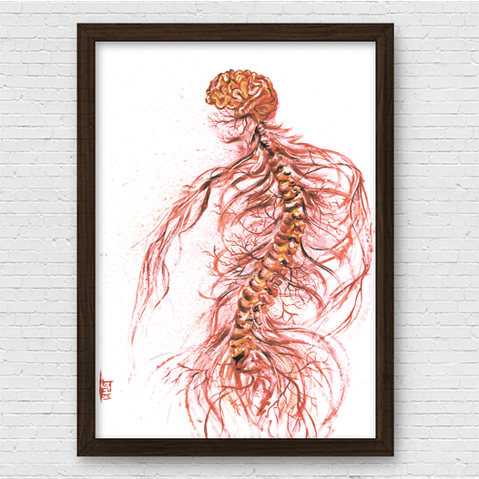 Quadro pôster anatomia: Sistema Nervoso com coluna