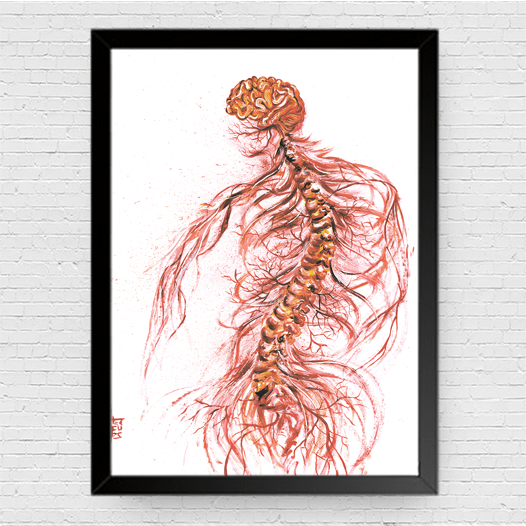 Quadro pôster anatomia: Sistema Nervoso com coluna